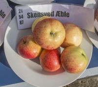 Skensved æble